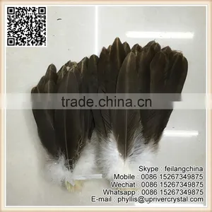 Indian Hat Decoration Brown And White Big Eagle Feather thumbnail-1