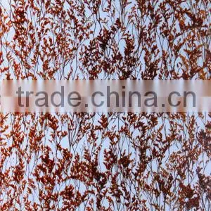 Recycled Decorative Plastic Wall Partition Translucent PETG Panel thumbnail-1