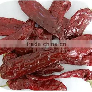 Sweet Pepper thumbnail-1