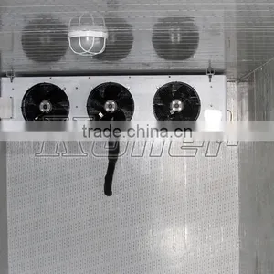 Commercial Modular Freezer Cold Room With 20CBM for Meat Storage VCR20 thumbnail-2