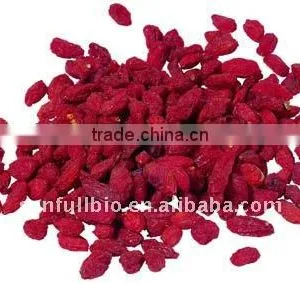 Goji Fruit Powder (Spray Dried) thumbnail-1