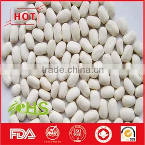Chinese White Kidney Beans of Wholesale Price thumbnail-1