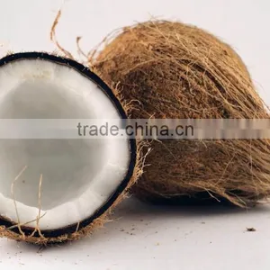 Fresh Coconuts - Export Quality Coconut thumbnail-4