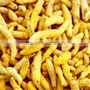 Indian Natural Turmeric thumbnail-1
