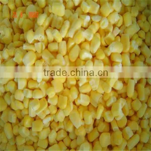 IQF Frozen Sweet Corn thumbnail-1