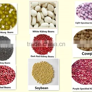 Dalian Jinshengxi International Trading Co., Ltd. company overview - view 3 thumbnail