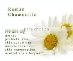 CHAMOMILE ROMAN OIL thumbnail-1