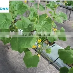 100% Non-asbestos Density 80kg/m3 Cheap Rockwool Cubes for Hydroponic Agriculture thumbnail-3