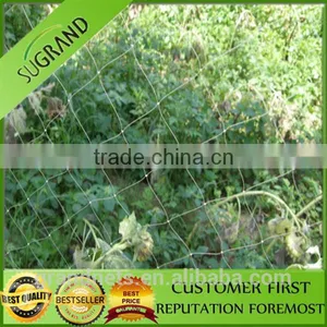 HDPE Catch Birds Anti Bird Netting thumbnail-5