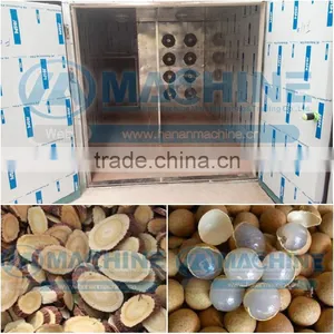 Energy Saving High Temperture Apple Drying Machine thumbnail-1