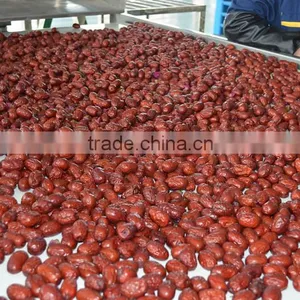 Jujuebe Multiple Layer Continuous Type Mesh Belt Dryer thumbnail-4