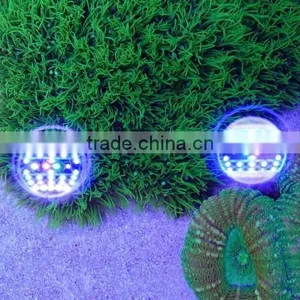 Hot Selling Programmable Full Spectrum Sunrise and Sunset Coral Reef Used Led Aquarium Light thumbnail-3