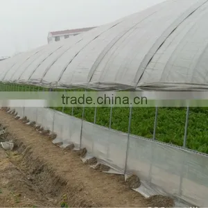 Anti UV Anti Drip Anti Aging PE Film Greenhouses for Vegetable thumbnail-1