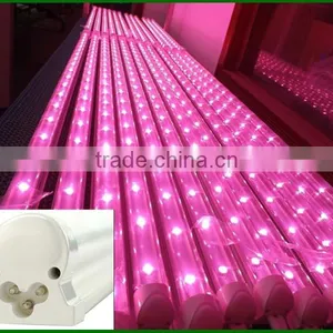 Best Solutions 20W Indoor Hydroponic Growing Lights thumbnail-2