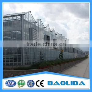 Large Plastic Film Multi-span Greenhouse for Fruits thumbnail-4