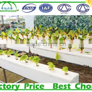 Multi Span Tunnel PE Plastic Film Hydroponic Systems Agricultural Commercial Greenhouse thumbnail-5
