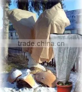 Rose Fleece in Winter , Plant Fleece, Ground Cover thumbnail-1