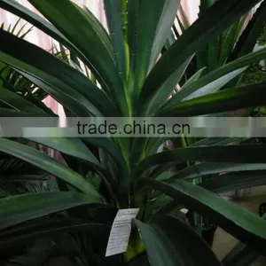Artificial Green Plant With Flower for Decoration thumbnail-5