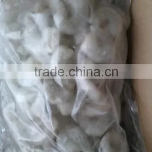 Green of Vannamei Shrimp thumbnail-1