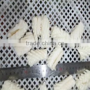 Best Season Iqf Cooking Live Squid for Sale thumbnail-1