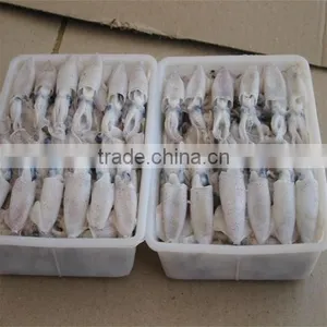 Hot Sale Whole Round Frozen Baby Squid thumbnail-2