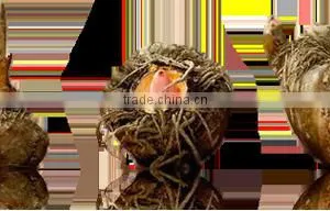 Konjac Instant Noodles for Losing Weight thumbnail-5