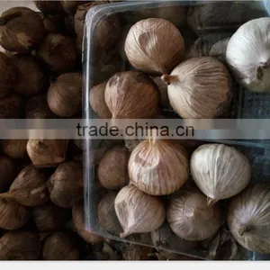 China Hot Black Single Clove Garlic thumbnail-1
