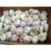 5.5cm Garlic in Mesh Bag thumbnail-3