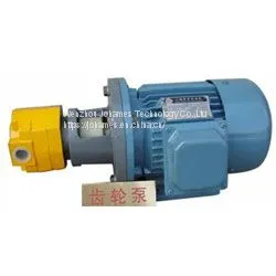 BBG Cast Iron Small Gear Oil Pump thumbnail-1