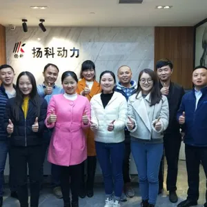 Chongqing Yangke Power Equipment Co.,Ltd company overview - view 2 thumbnail