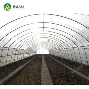 50x8m Vegetable Tomato Single Span PE Plastic Tunnel Greenhouse Sale thumbnail-4