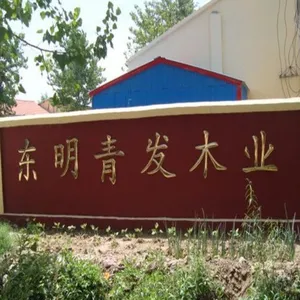 Dongming Qingfa Wood Industry Co.,Ltd company overview - view 1 thumbnail