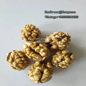 Various Sizes Walnut Kernels Supplier First Quality Walnut Kernel thumbnail-3