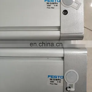 100% Original and New Cylinder DNC-125-100-PPV-A 163501 thumbnail-1