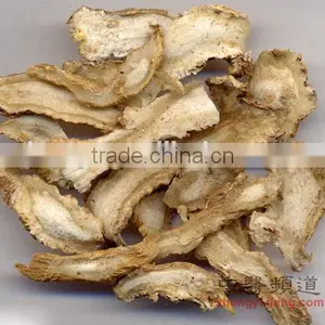 Factory Supply Best Quality Angelica Root Oil thumbnail-2