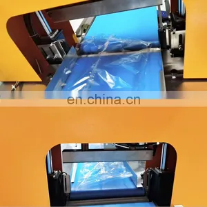 China Servo Motors Full Automatic Lettuce Radish Carrot Vegetable Pillow-Type Packer thumbnail-4