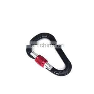 100mm/5.43inch Wholesale CE Certified Climbing Aluminum Carabiner Hook With Screw Gate thumbnail-3
