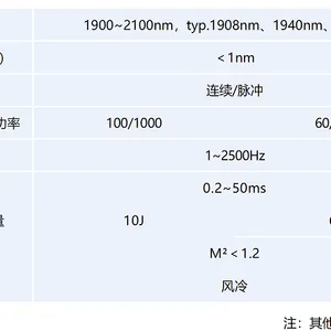 Precision, Efficiency, and Cross-border Empowerment of 1940 nm Continuous and Quasi-Continuous Fiber Lasers thumbnail-2