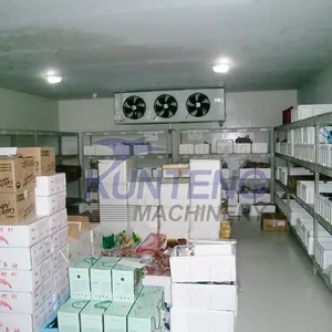 Wall Mounted Refrigeration Unit Freezer Cold Storage Room Walk in Cooler thumbnail-3