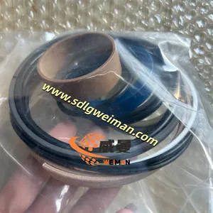 ORIGINAL SDLG 4120004770019 SEALING KIT APPLY FOR SDLG EXCAVATOR GRADER thumbnail-2