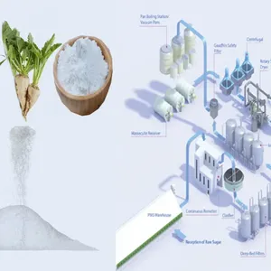 Beet Sugar Processing Line thumbnail-5