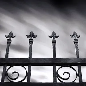 Galvanized Wrought Iron Ornamental Fencing for Garden Decoration and Metal Edging thumbnail-2