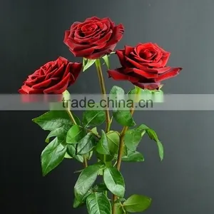 Decorative Promotional Color Black Magic Rose Flower thumbnail-1