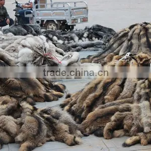 Real Racccon Fur Fabric Raw Skin Animal Fur Skin for Sale thumbnail-1
