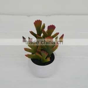 Indoor Decoration 5 Branch Artificial Plants Artificial Succulent Wholesale thumbnail-1