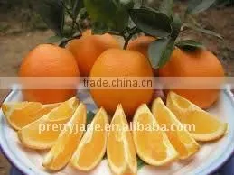 Low Price Navel Orange in China thumbnail-1