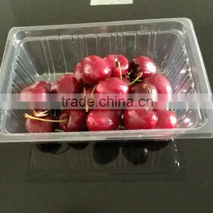 Supermarket Fruit Container thumbnail-1