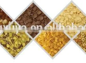 High Capacity Corn Flakes Production Line (400-600kg/h) thumbnail-4
