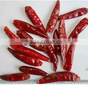 Dry Red New Generation Chili thumbnail-1
