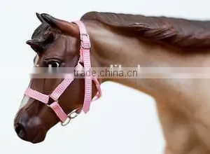 Customized Design Your Own Horse Halter thumbnail-2